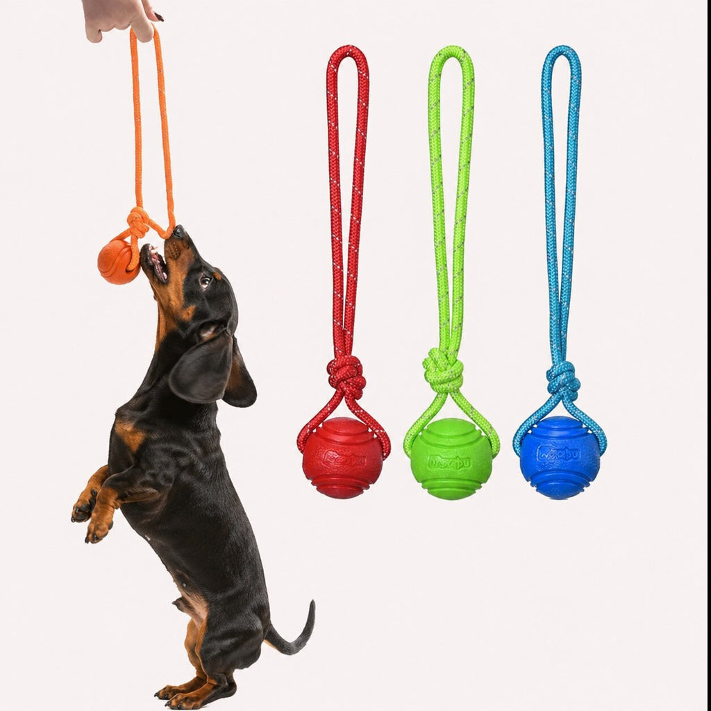 Doxie Tug Ball™ | Interactive Rope Ball Toy for Energetic Dachshunds