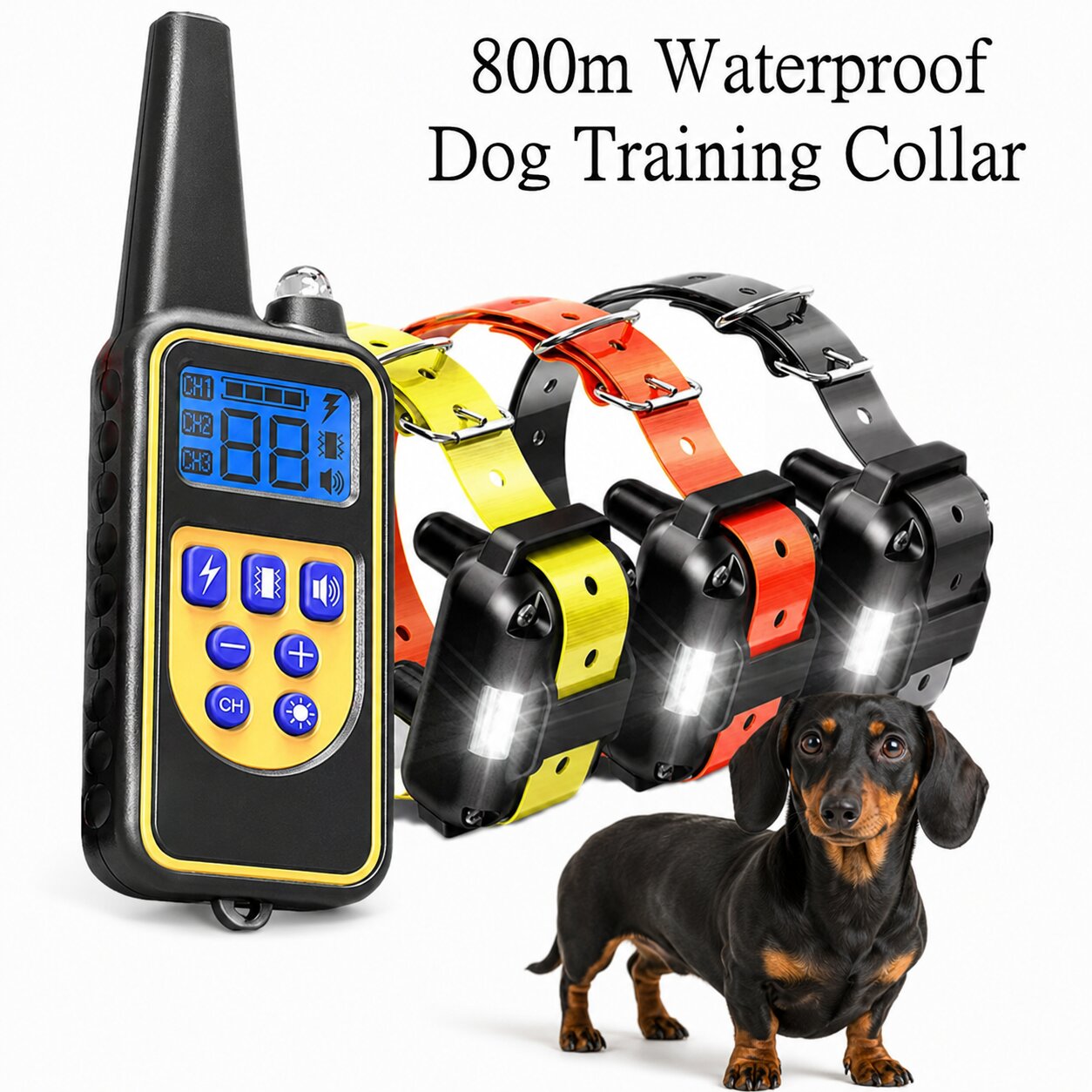 Doxie Recall Pro™ | Advanced Remote Training Collar for Dachshunds