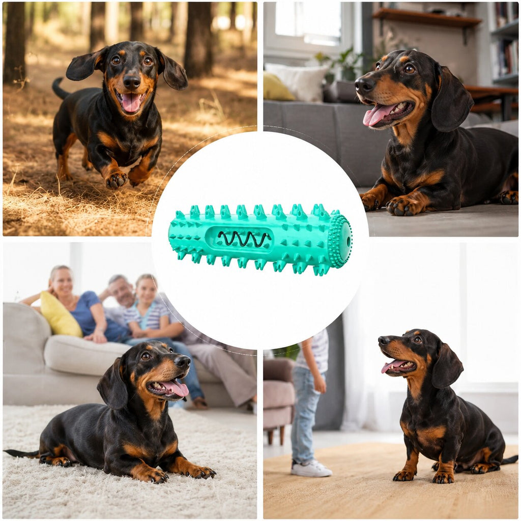 Dachshund Dental Chew Toy™ – Fun Play & Healthy Teeth in One