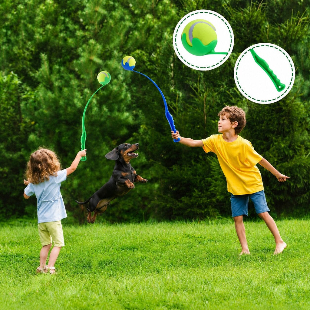 Dachshund Ball Launcher™ – Endless Fetch Fun for Active Wiener Dogs