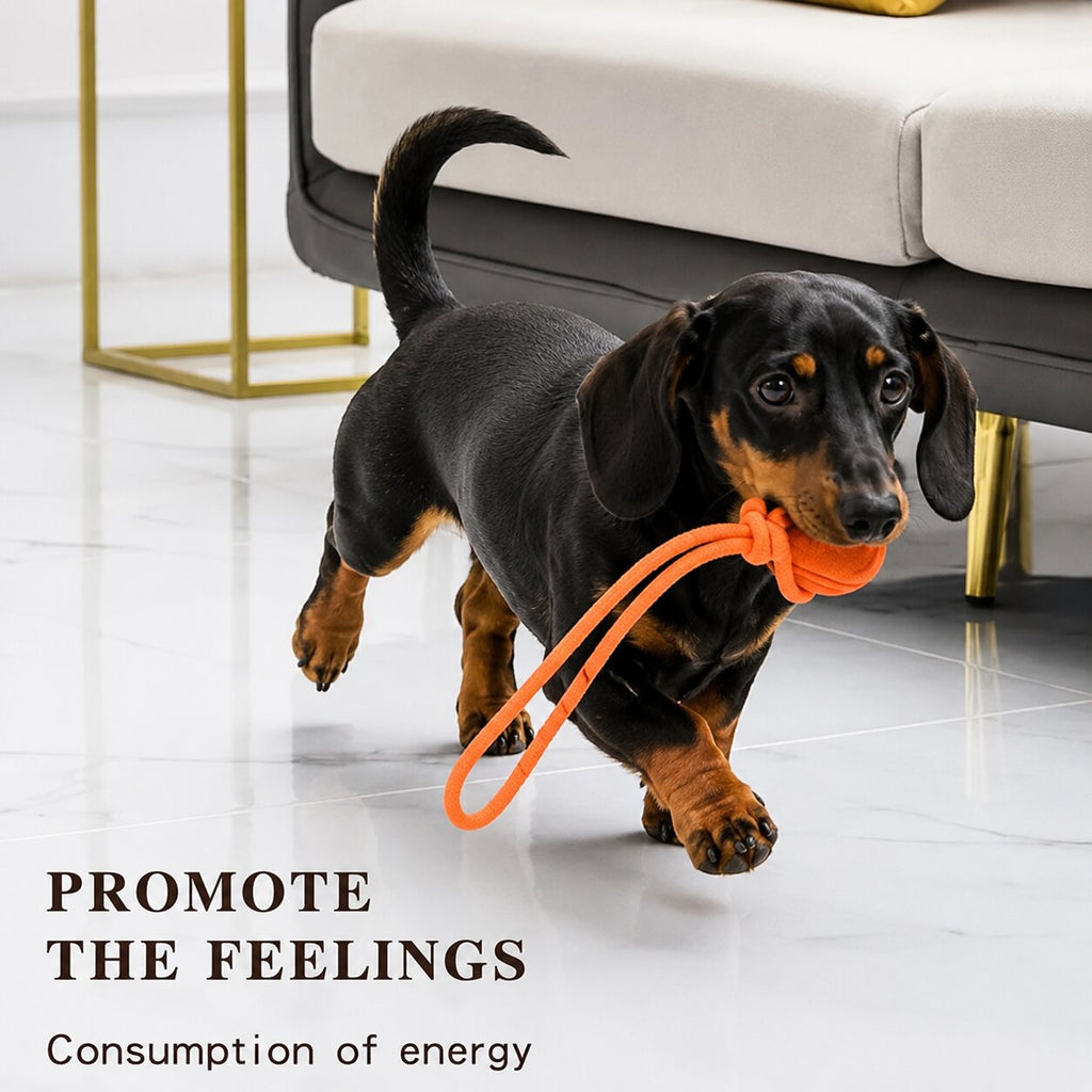Doxie Tug Ball™ | Interactive Rope Ball Toy for Energetic Dachshunds