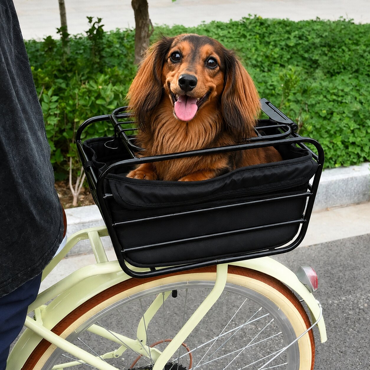 RideRack™ for Dachshunds – Secure Rear Bike Basket for Safe Cycling Adventures