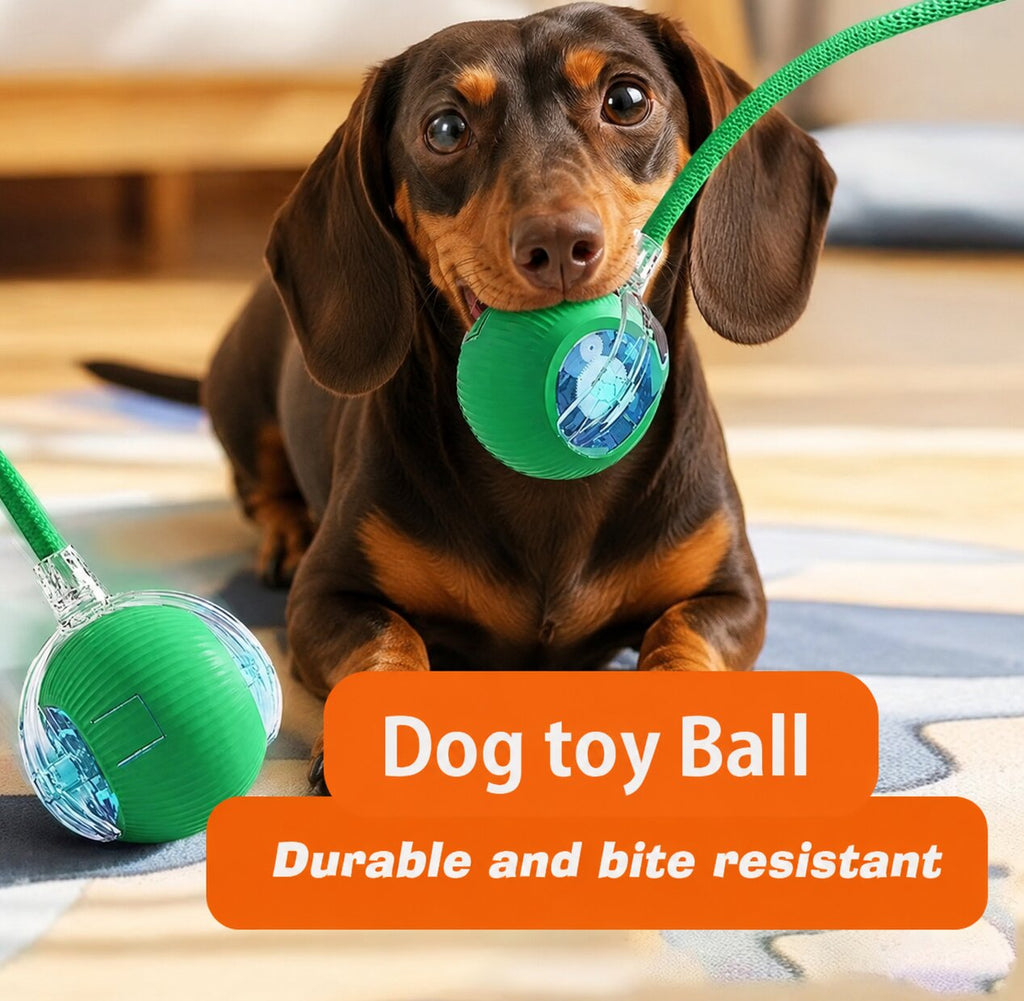 Dachshund Smart Motion Ball™ | Rechargeable Interactive Rolling Toy for Endless Fun & Exercise