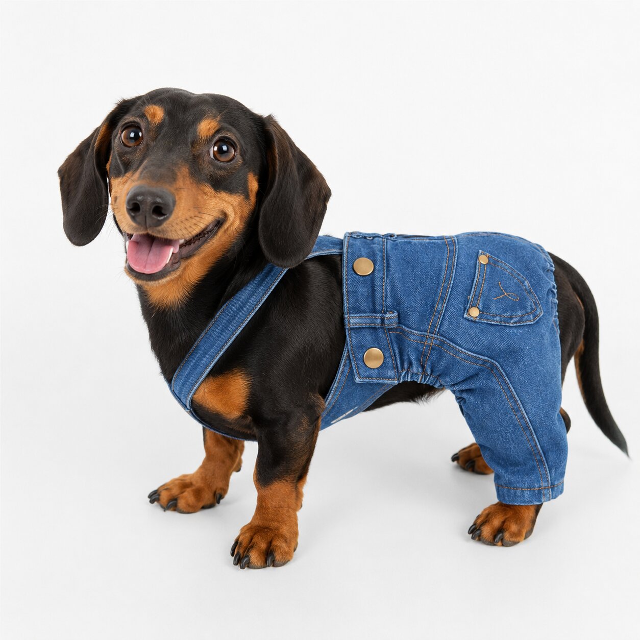 Dachshund Denim Overalls™ | Stylish Everyday Jumpsuit for Comfortable Walks & Cozy Adventures