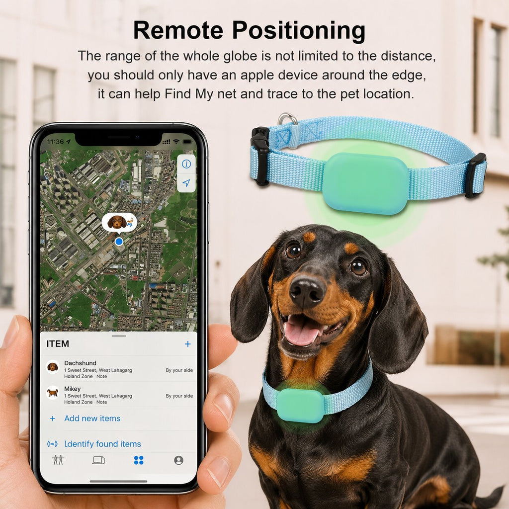 Dachshund Guardian GPS Tracker – Never Lose Sight of Your Best Friend