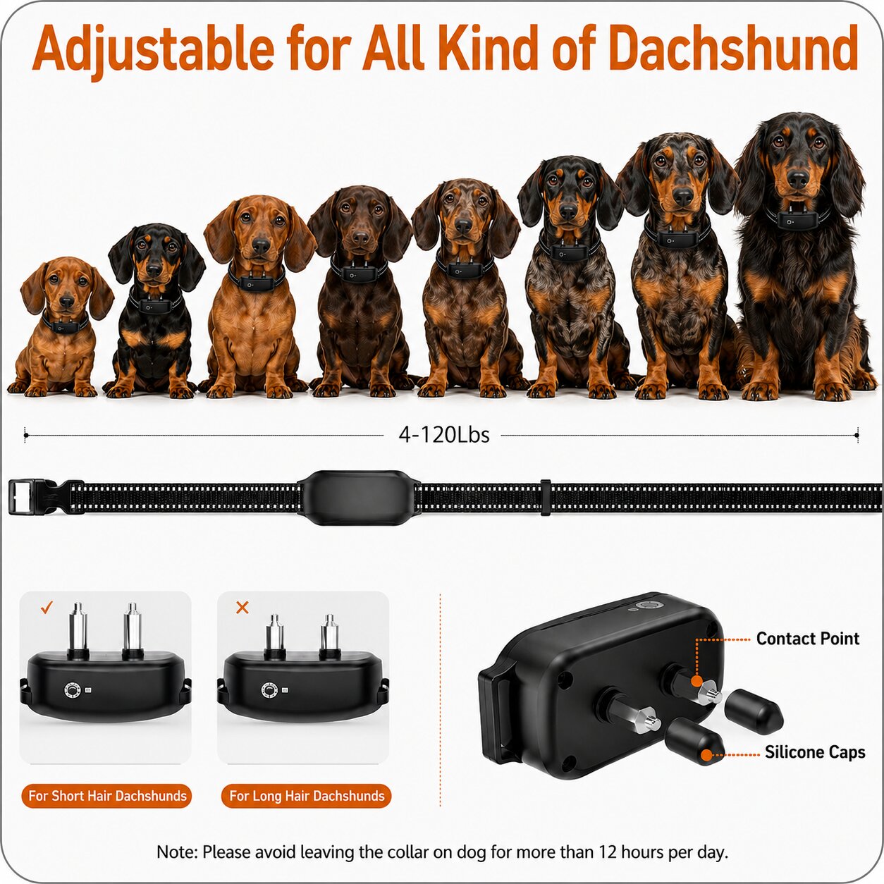 Dachshund Training Pro™ Collar – Remote-Controlled Waterproof Training System