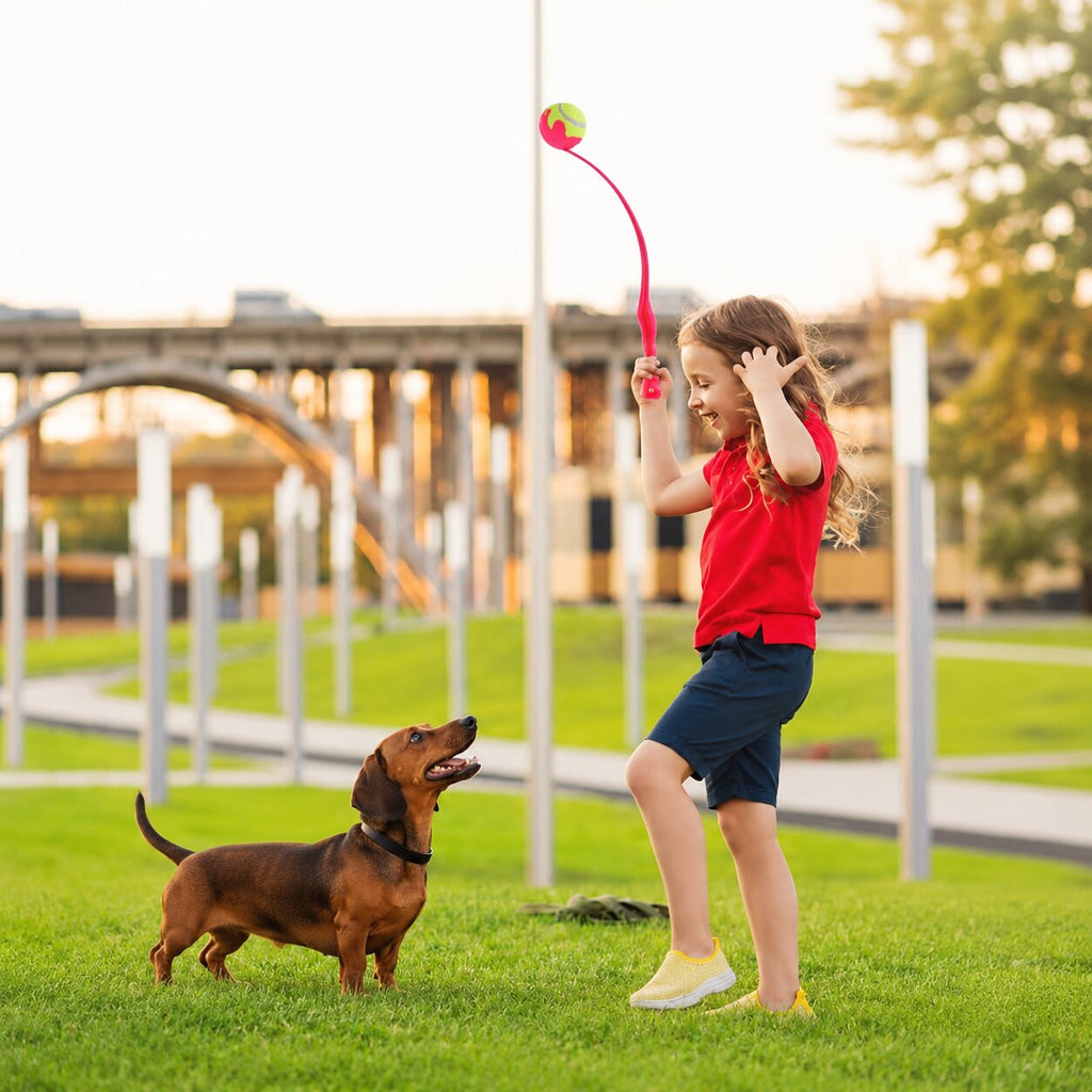 Dachshund Ball Launcher™ – Endless Fetch Fun for Active Wiener Dogs