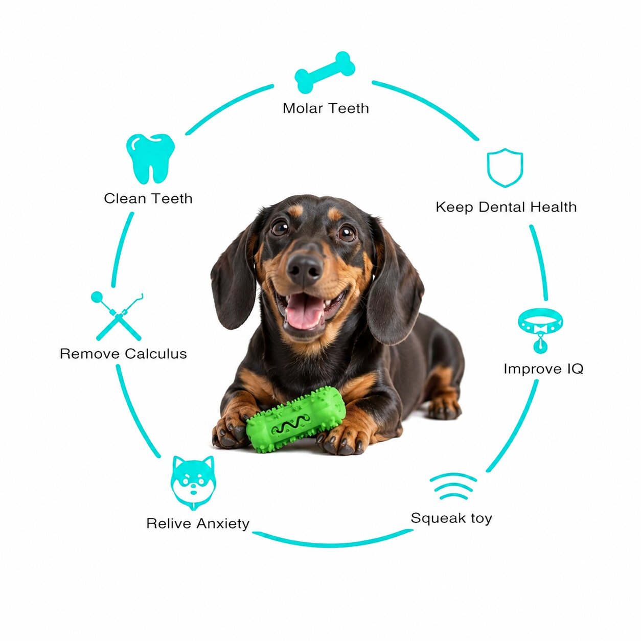 Dachshund Dental Chew Toy™ – Fun Play & Healthy Teeth in One