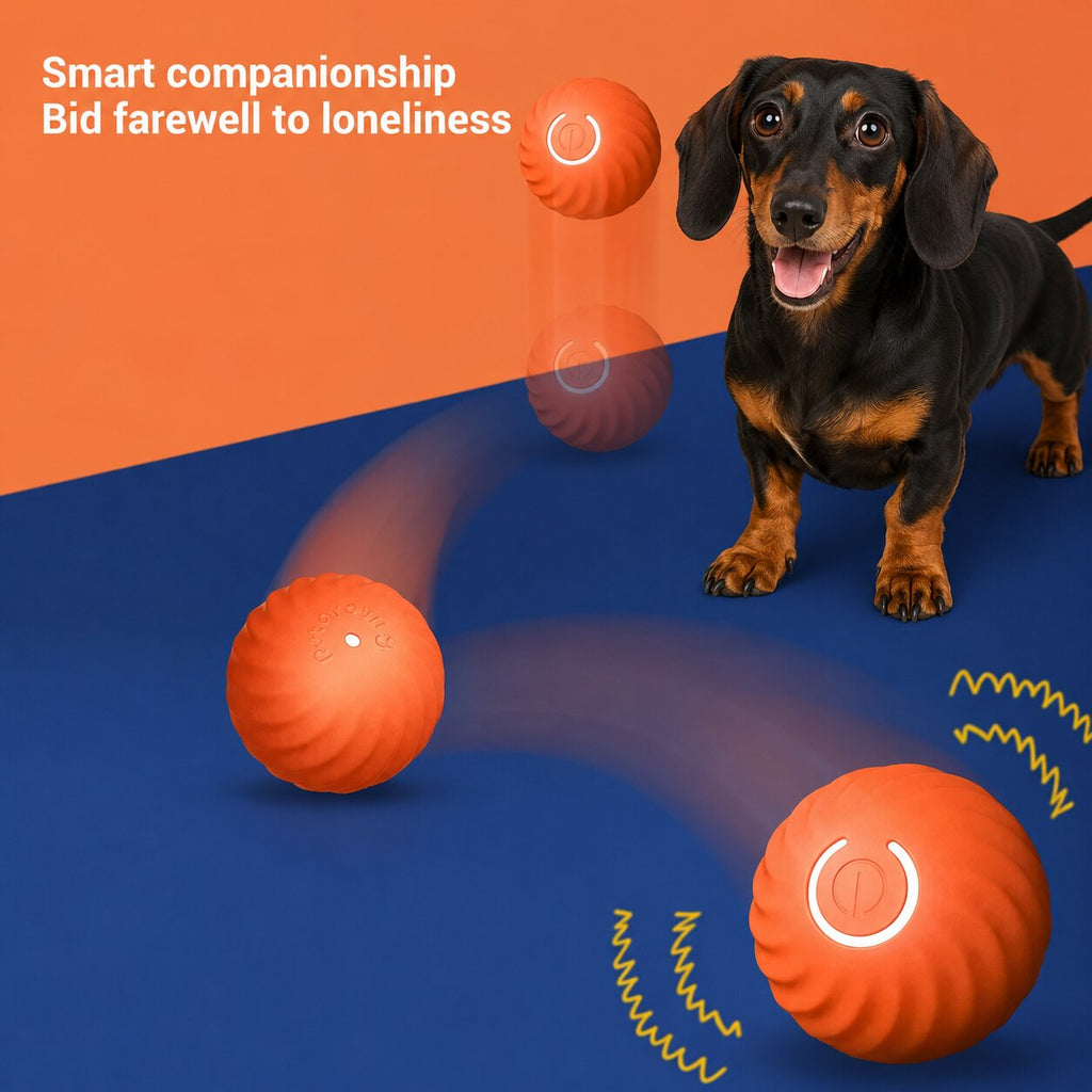 Doxie Zoom Ball™ | Automatic Moving Ball for Curious Dachshunds