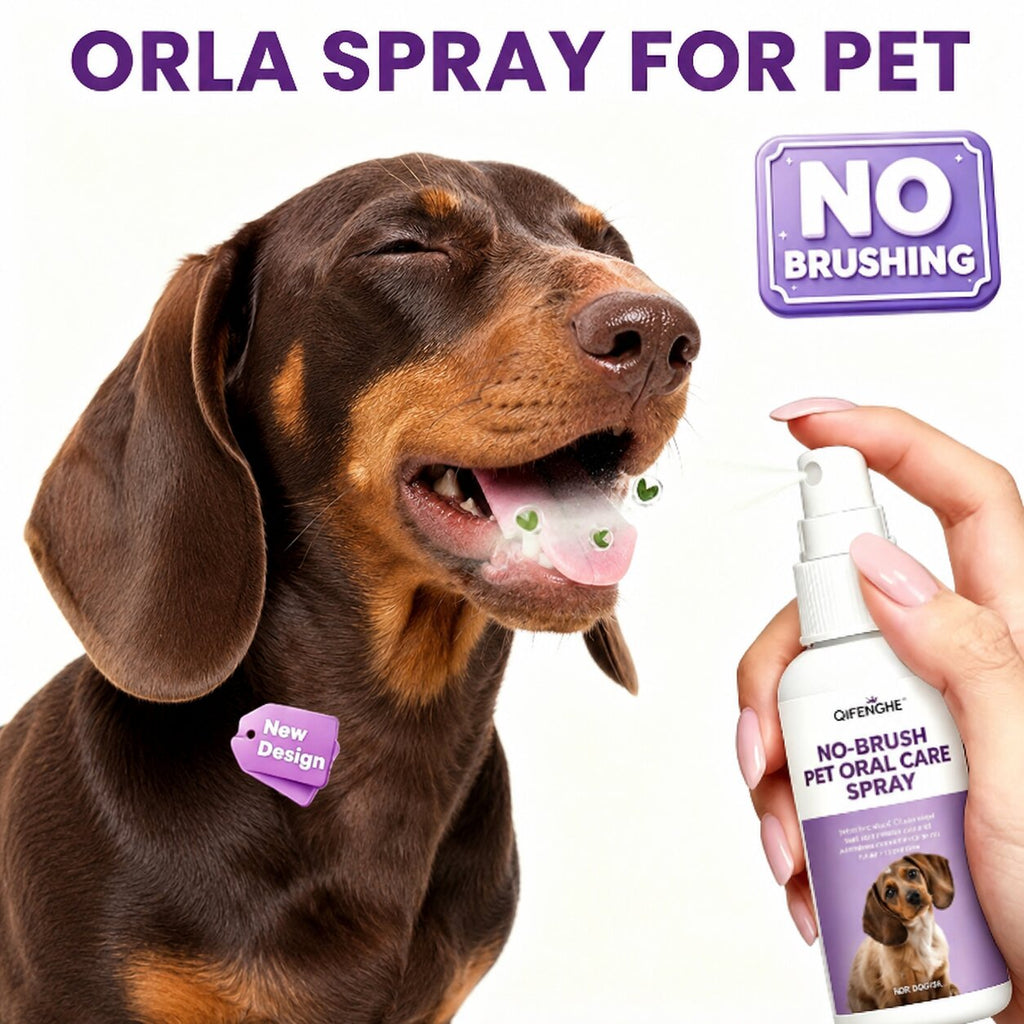 Dachshund Fresh Breath Spray™ | No Brushing Needed for Cleaner Breath & Daily Oral Care