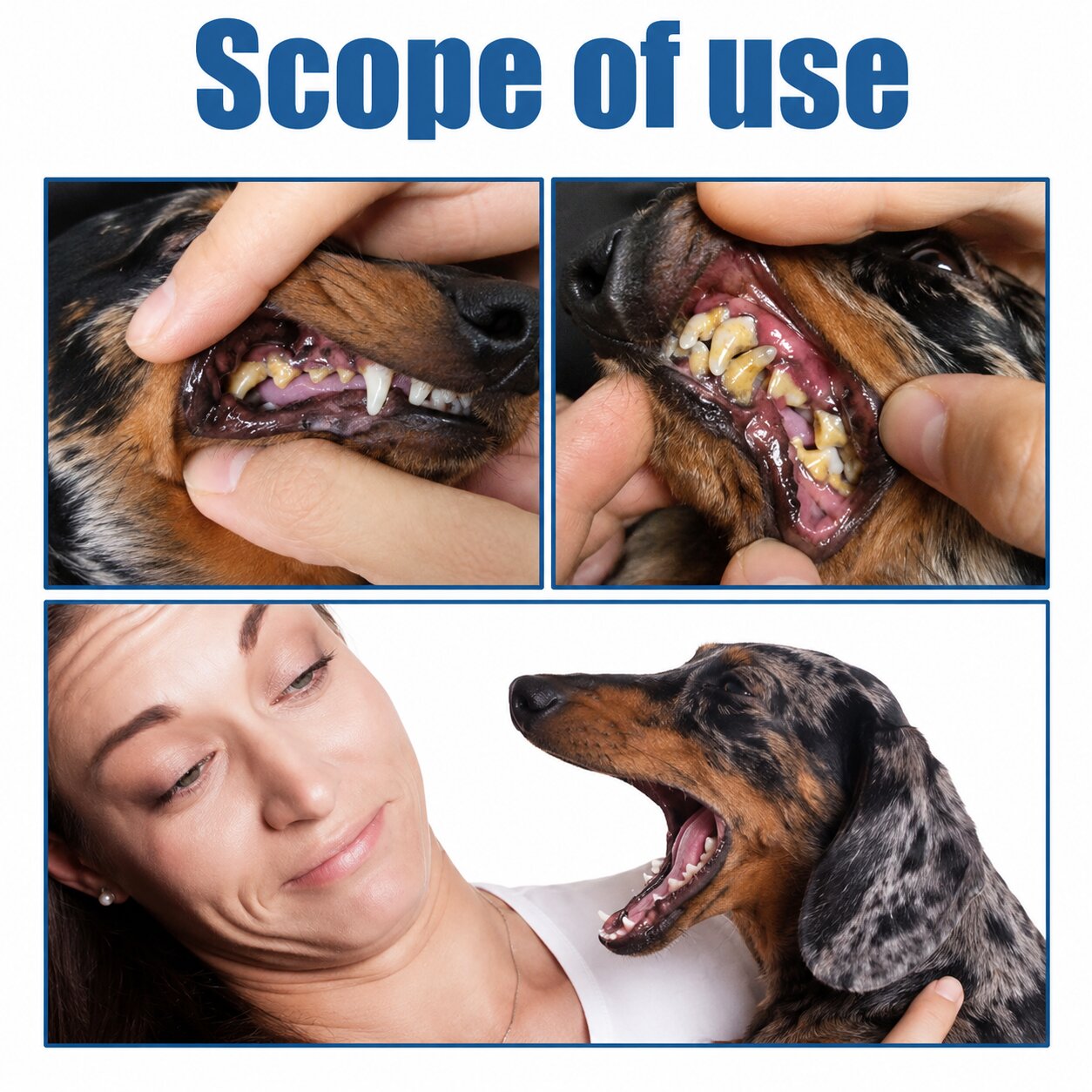 Dachshund Dental Spray™ | Tartar & Bad Breath Defense Without Brushing