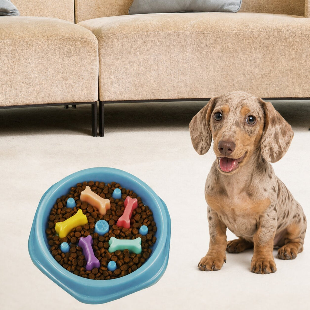 Dachshund Slow Feeder Mold™ | Create Your Own Custom Feeding Bowl