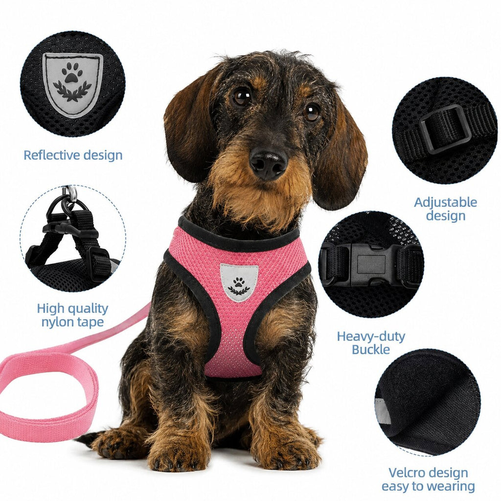 Dachshund AirMesh Harness™ | Lightweight Breathable Comfort for Every Walk