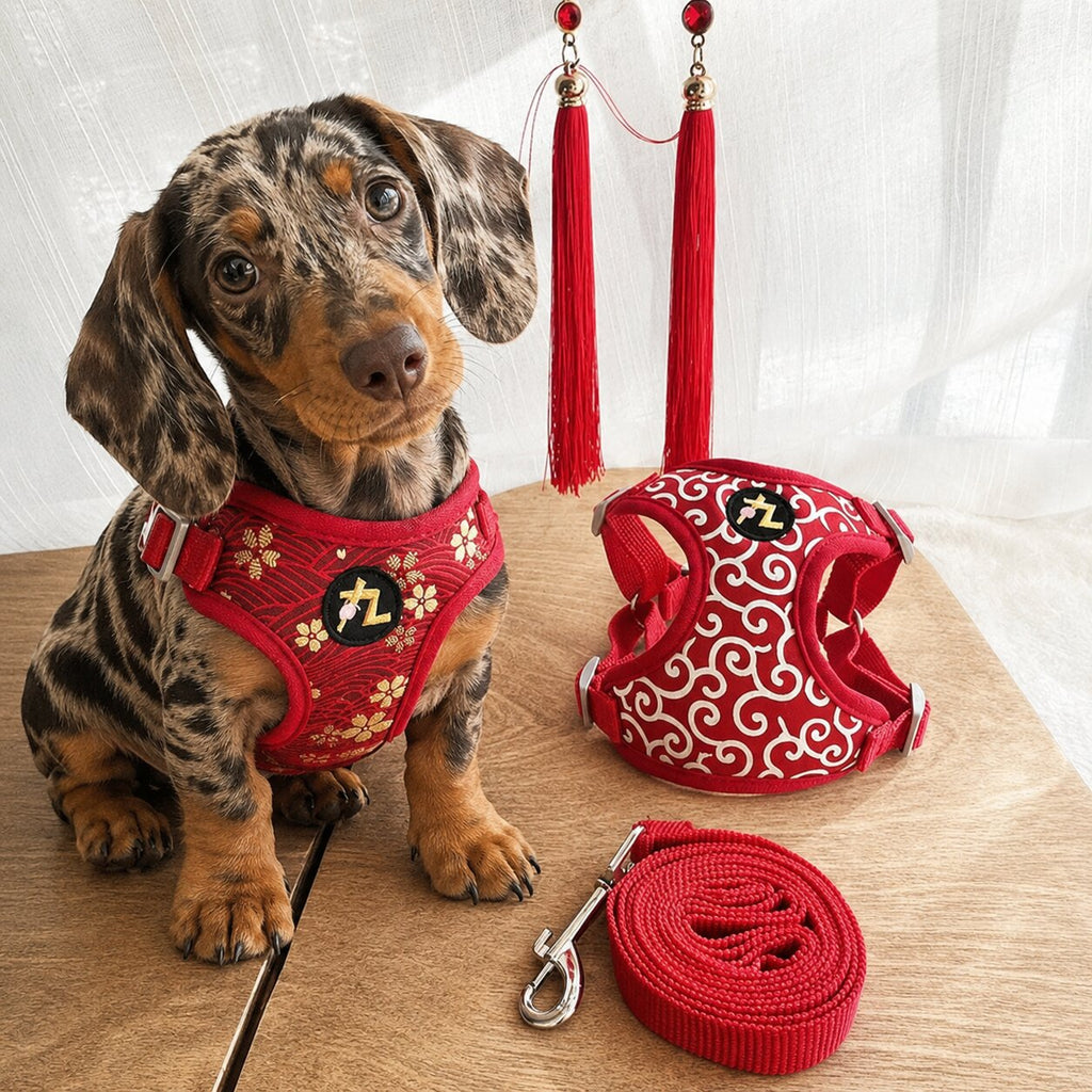 Dachshund Sakura Harness Set™ | Elegant Japanese-Inspired Comfort & Style