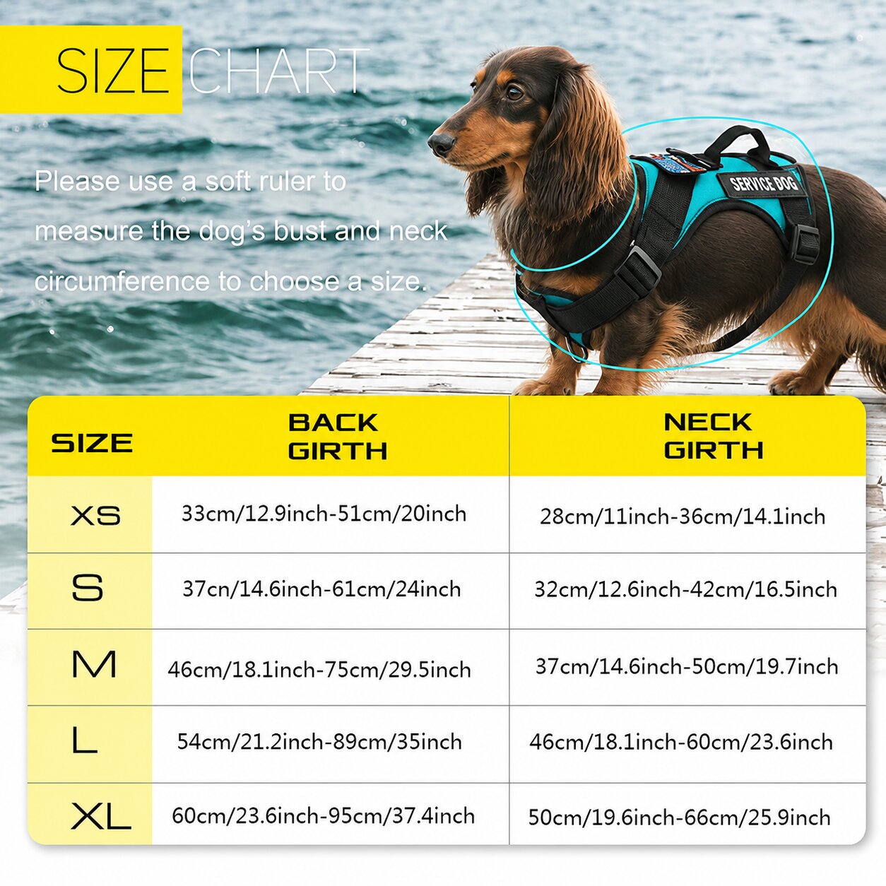 Dachshund Escape-Proof Harness Set™ | Secure No-Pull Control & Reflective Safety