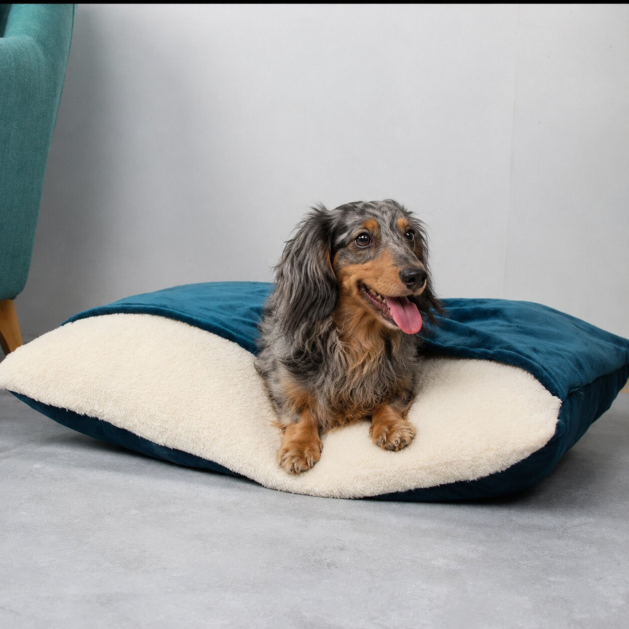 Premium Dachshund Cave Bed – Cozy, Warm & Calming Nest for Better Sleep
