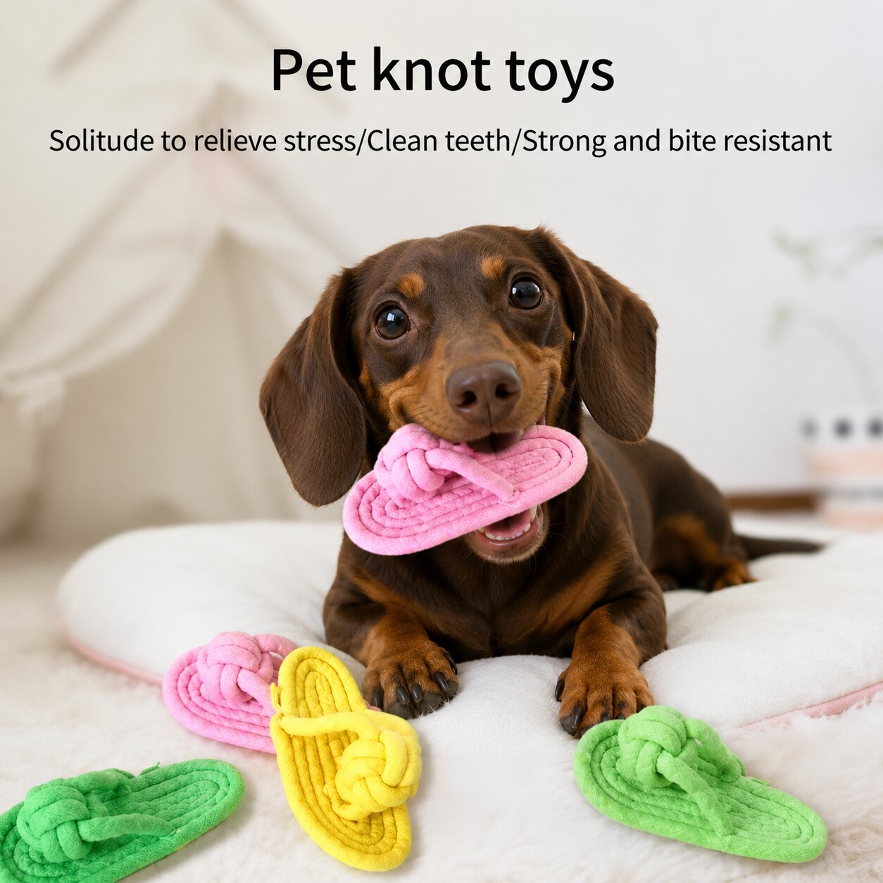 Dachshund Rope Slipper™ | Tough Chew Toy for Healthy Teeth & Endless Play