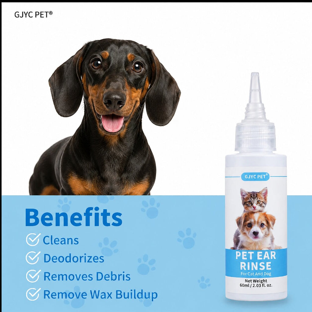 Dachshund Ear Care™ – Gentle Natural Ear Cleaner for Healthy, Happy Ears