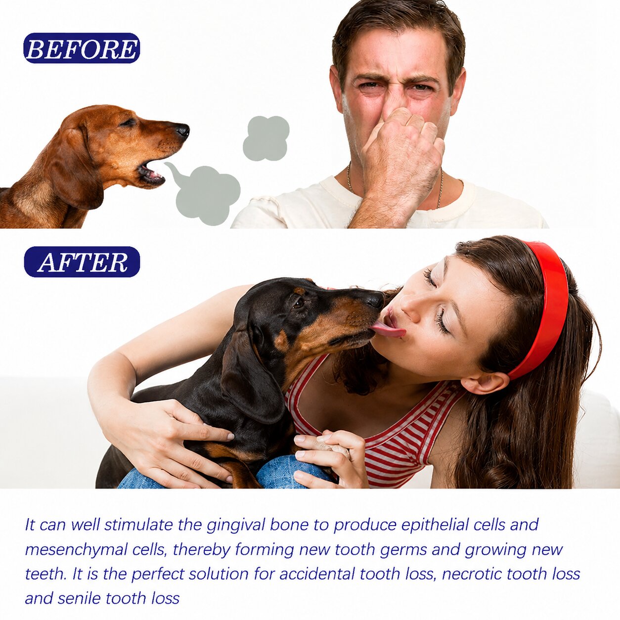Dachshund Smile™ Dental Toothpaste – Fresh Breath & Plaque Protection for Sausage Dogs