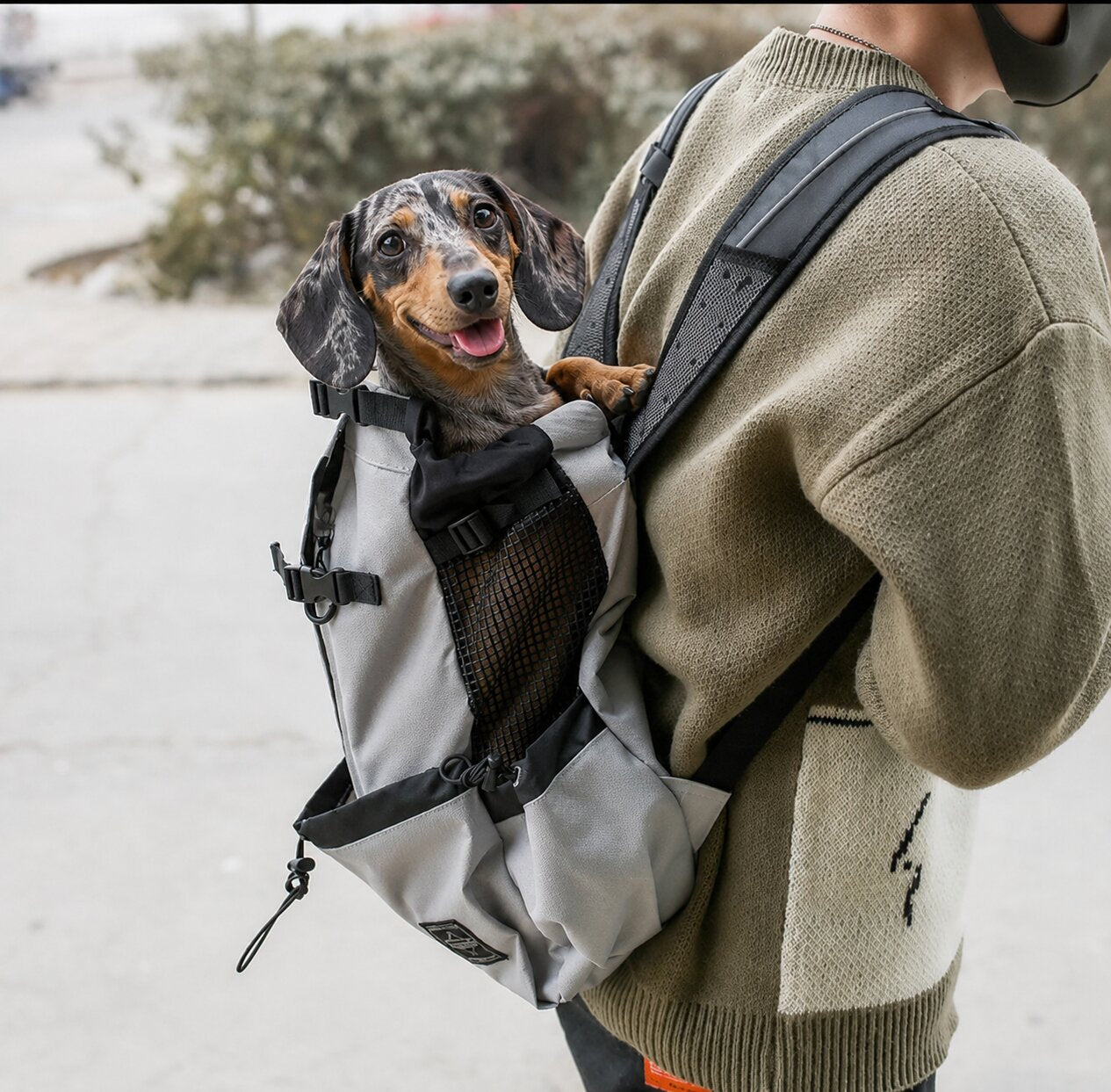 Dachshund Adventure Backpack Harness – Breathable Travel Carrier for Walks, Hikes & Everyday Explorations
