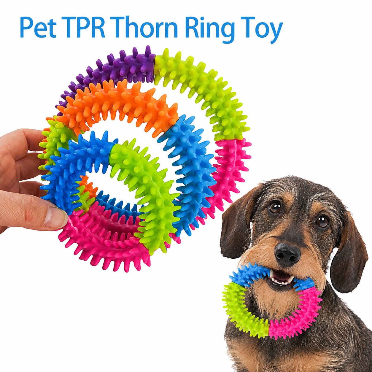 Dachshund Chew Ring Toy – Interactive Flying Disc & Dental Cleaning Toy for Happy Sausage Dogs