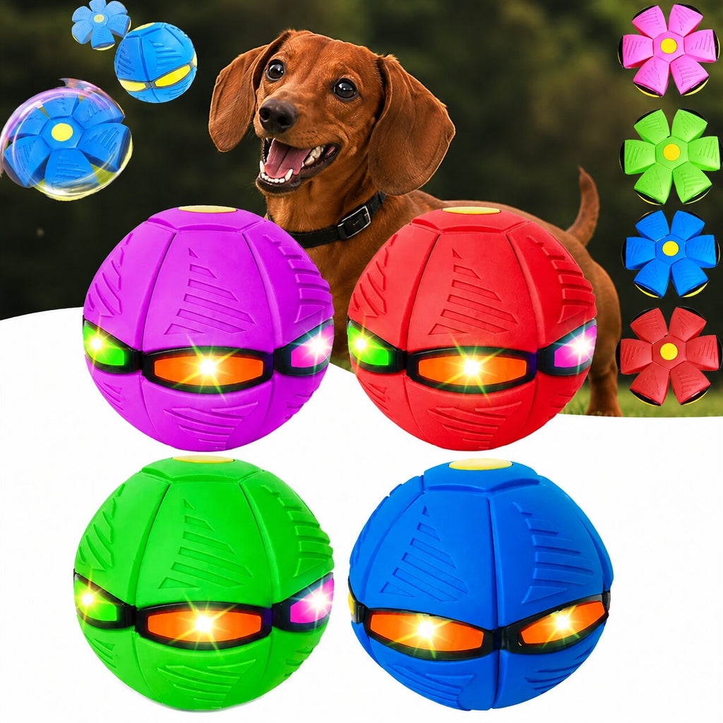 Dachshund UFO Ball Toy | Flying Disc & Bounce Ball for Fun Outdoor Play