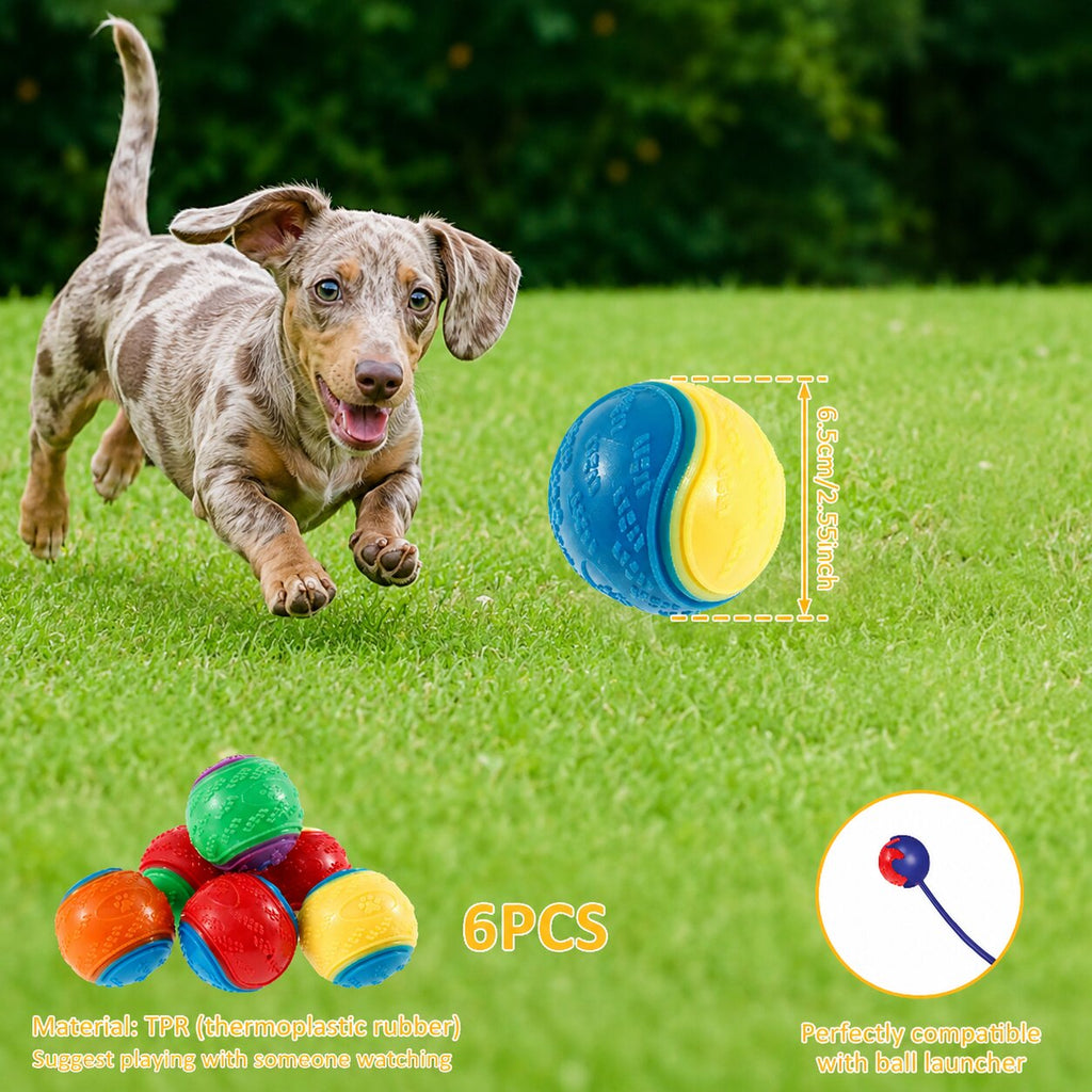 Premium 6-Pack Squeaky Balls for Dachshunds | Durable Interactive Chew Toys for Play & Dental Care