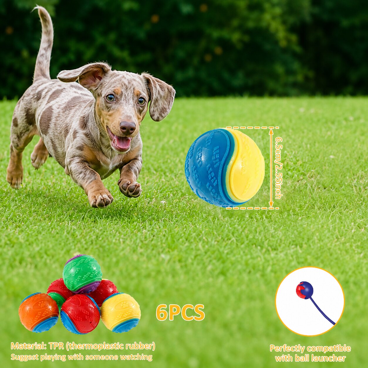 Premium 6-Pack Squeaky Balls for Dachshunds | Durable Interactive Chew Toys for Play & Dental Care
