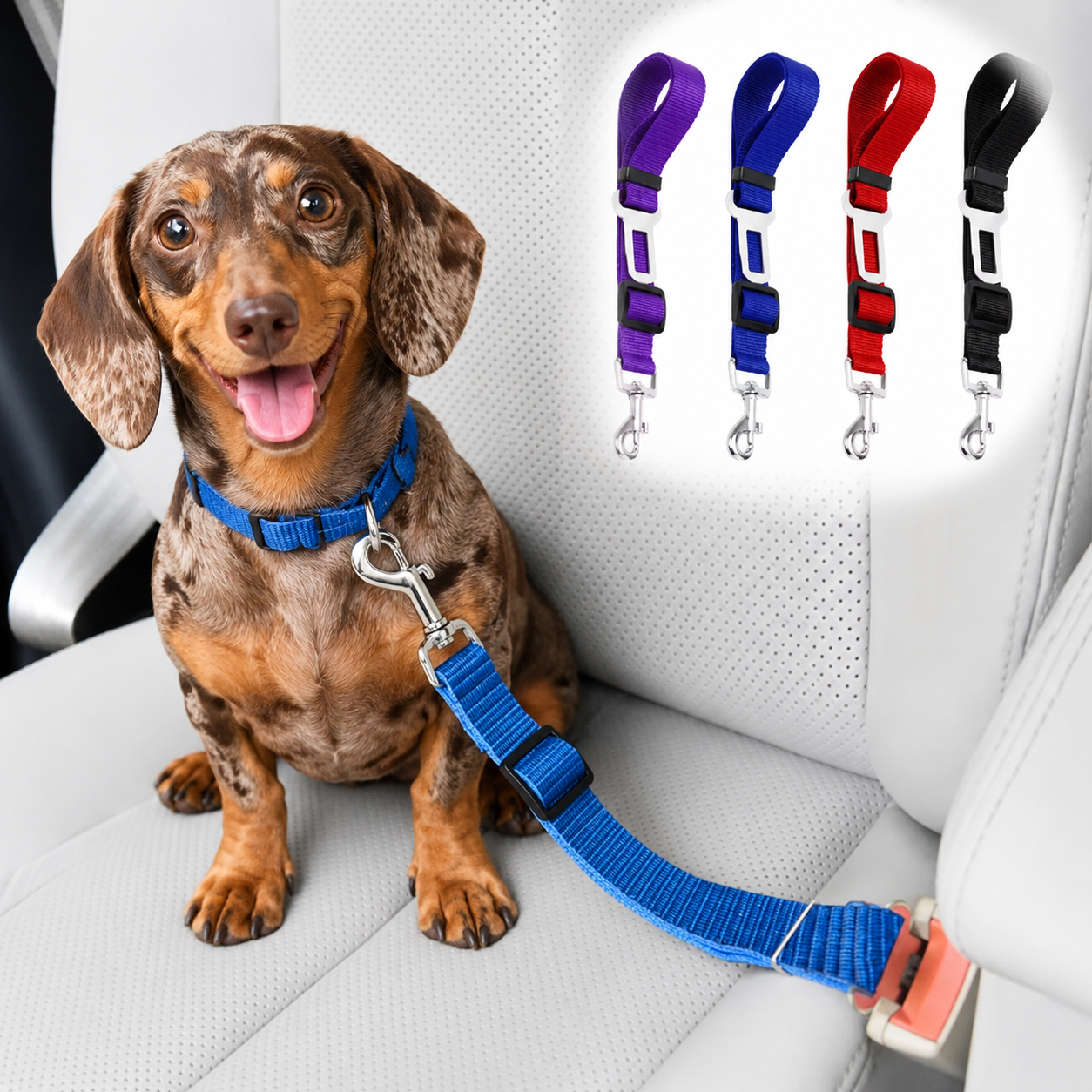 Adjustable Car Seat Belt for Dachshunds | Safety Travel Leash for Secure & Comfortable Rides