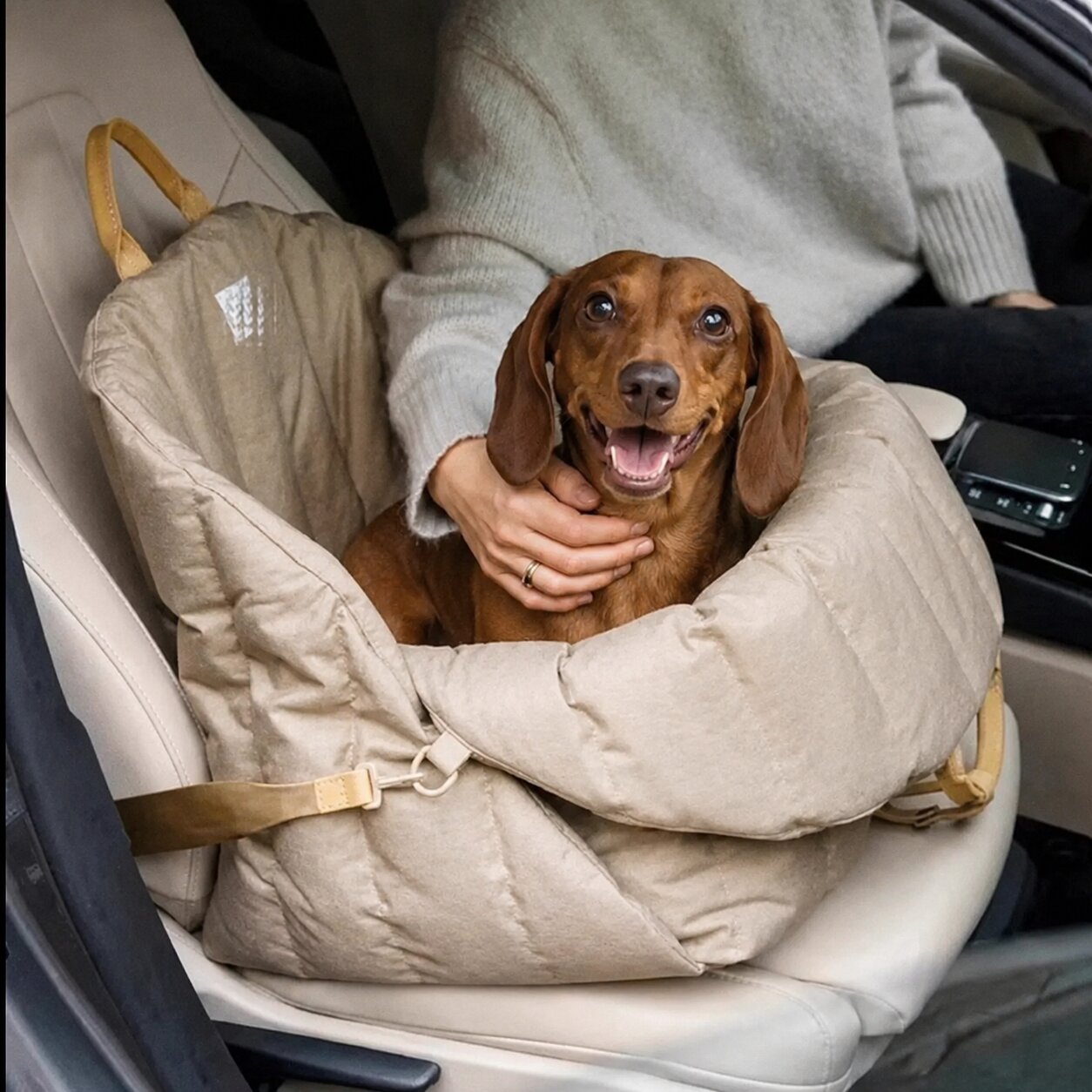 Dachshund Travel Carrier & Car Seat – Portable Safety Bag for Road Trips & Everyday Adventures