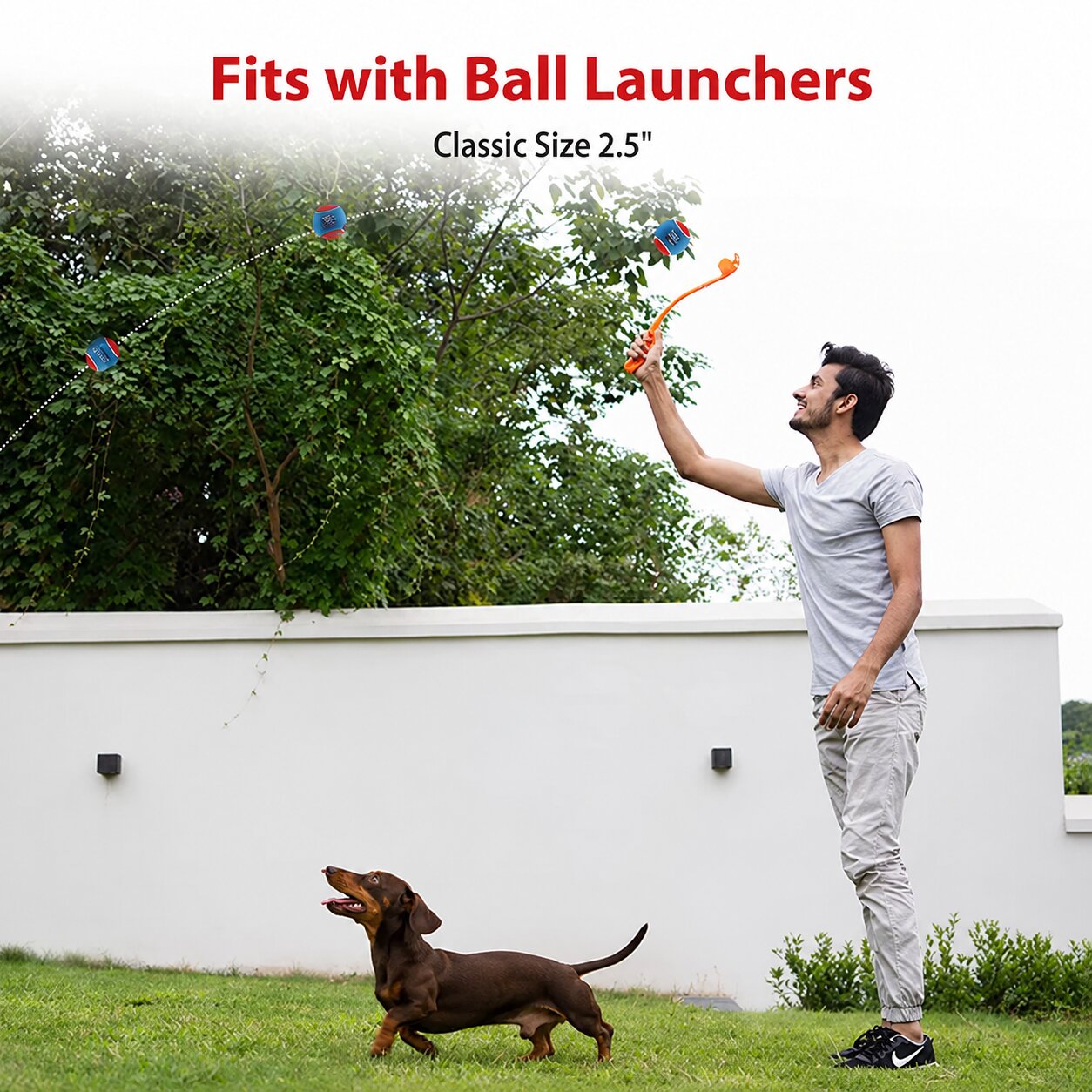 4-Pack Squeaky Tennis Balls for Dachshunds – Durable Bounce Toys for Fetch, Chewing & Training