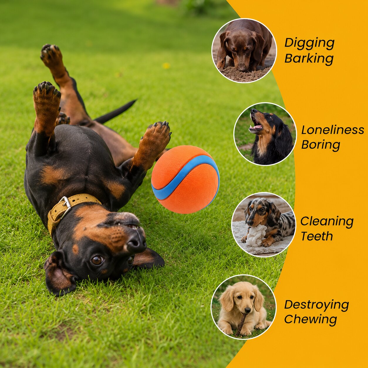 Premium Bounce Ball for Dachshunds – Natural Rubber Fetch Toy for Interactive Play & Training