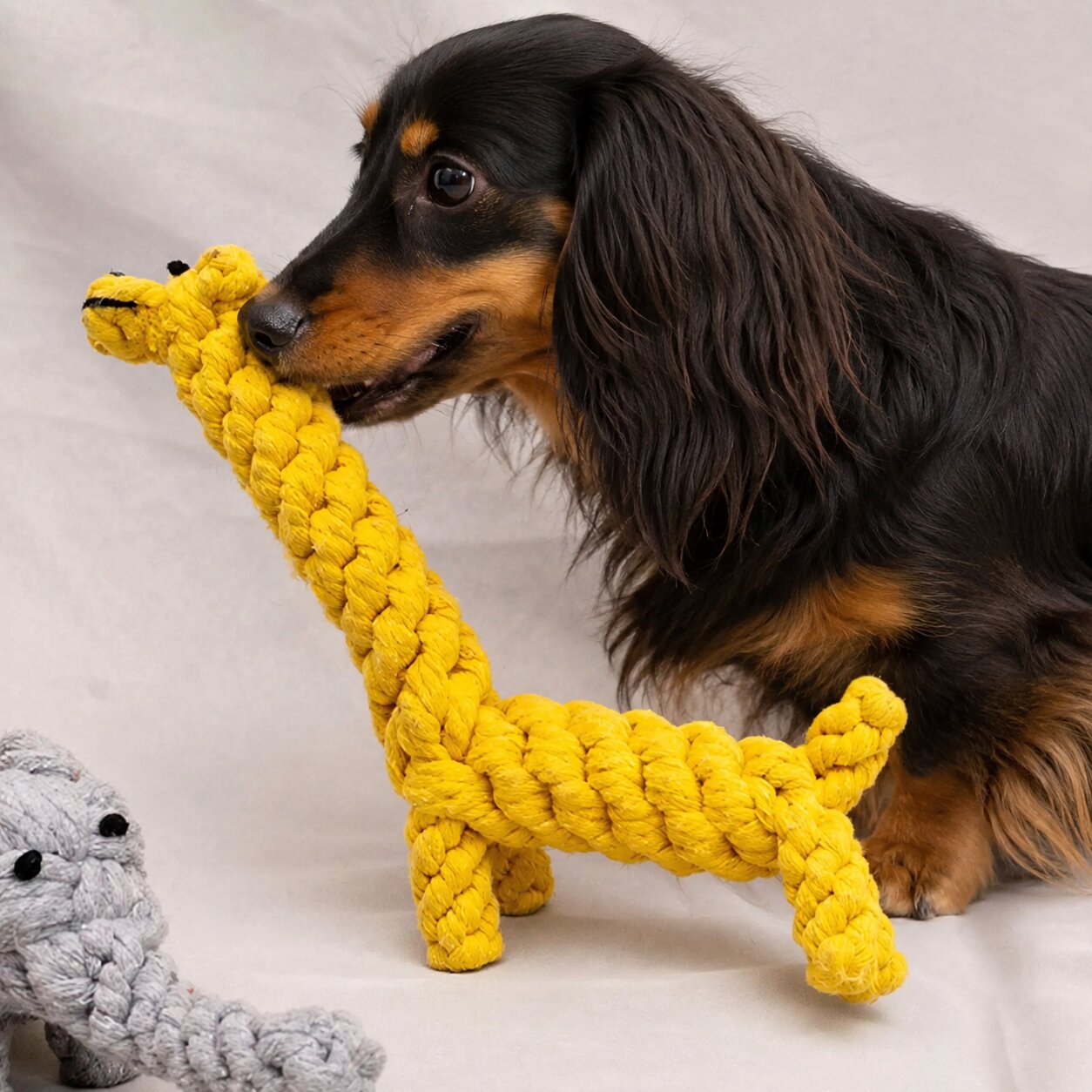 Dachshund Rope Chew Toy – Tough Cotton Tug Toy for Healthy Teeth