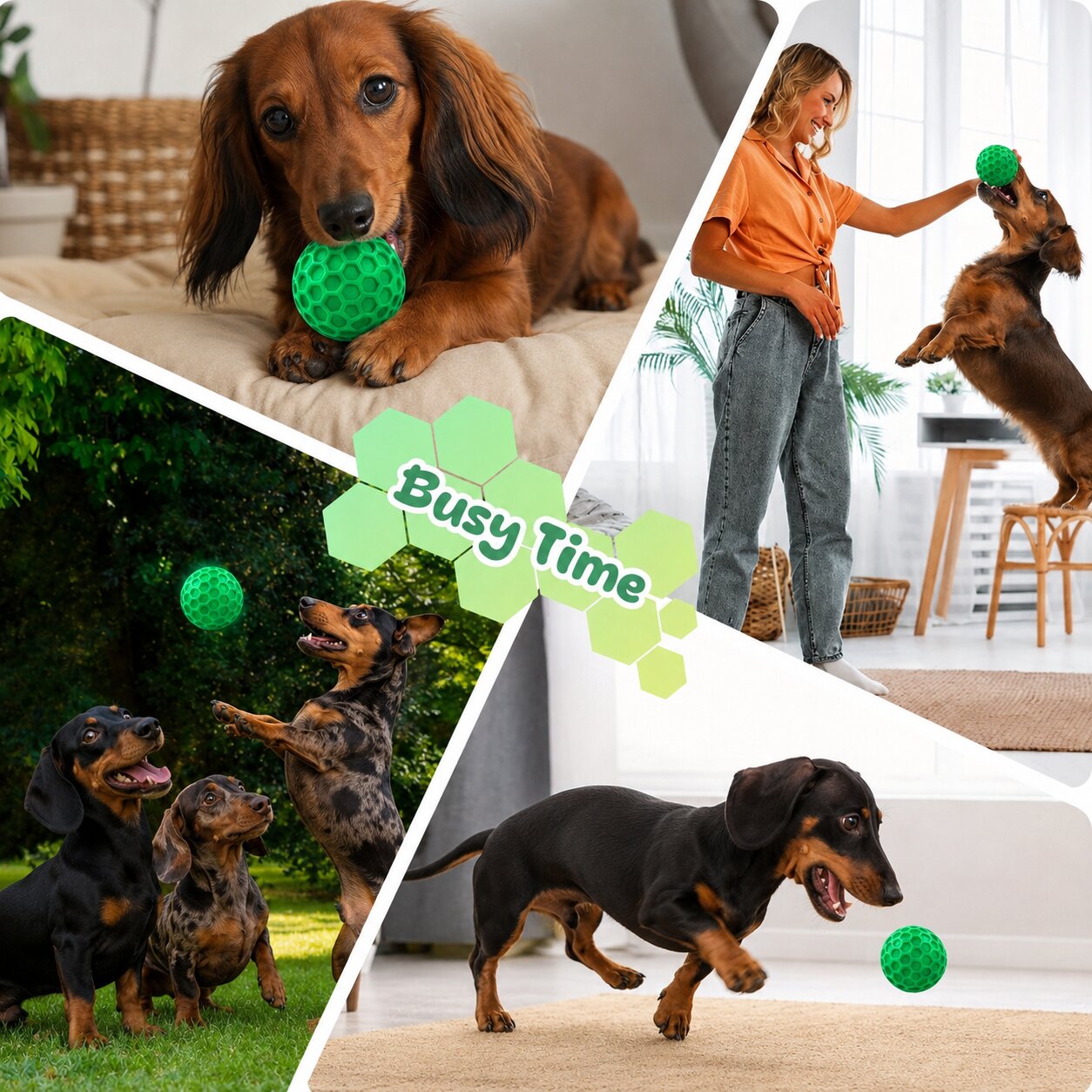 Beef Flavored Rubber Chew Ball for Dachshunds – Tough Squeaky Dog Toy for Dental Cleaning & Aggressive Chewers