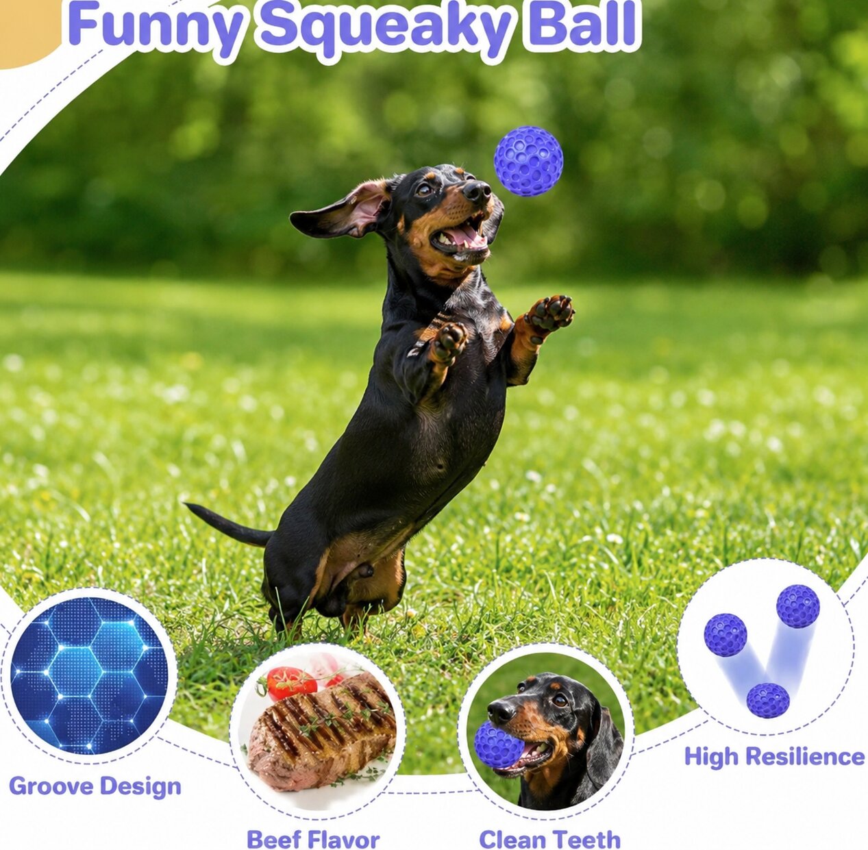 HexaChew™ for Dachshunds – Indestructible Natural Rubber Squeaky Chew Ball for Dental Health