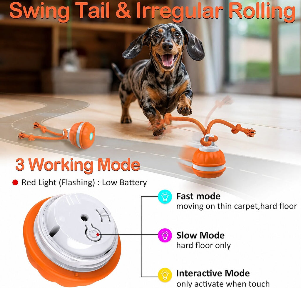 SmartRoll™ for Dachshunds – USB Rechargeable Interactive Rolling Ball for Endless Play