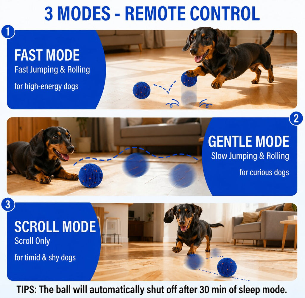 SmartBounce™ for Dachshunds – Rechargeable Interactive Ball with 4 Play Modes & Remote Control