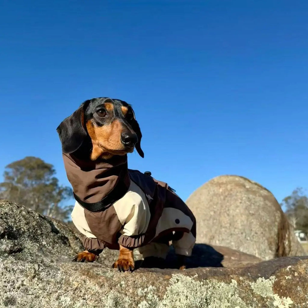 Dachshund Winter Comfort Jacket – Warm & Cozy Coat for Cold Weather Walks
