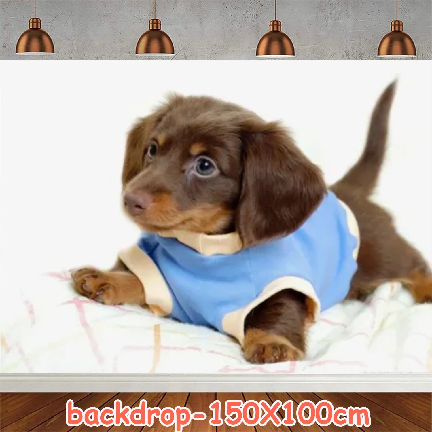 Ultimate Dachshund Birthday Party Kit – Balloons, Cake Toppers & Decorations for Sausage Dog Lovers