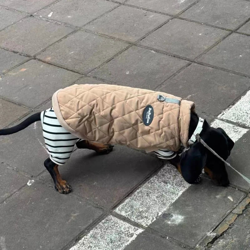 Dachshund NordicShield™ Jumpsuit – Premium Fleece Winter Coat for Sausage Dogs