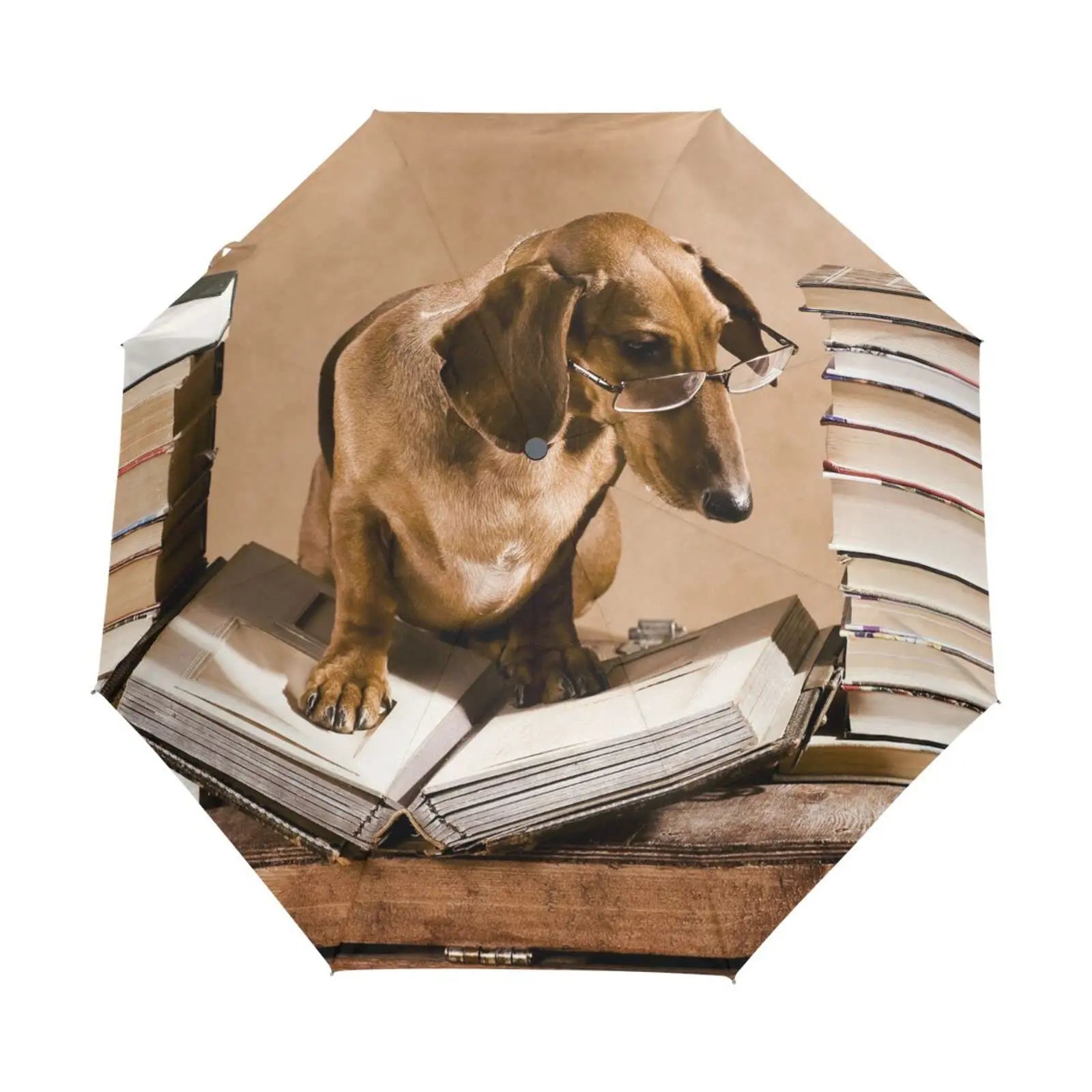 Dachshund Folding Umbrella – Lightweight Windproof Travel Umbrella for Dachshund Lovers