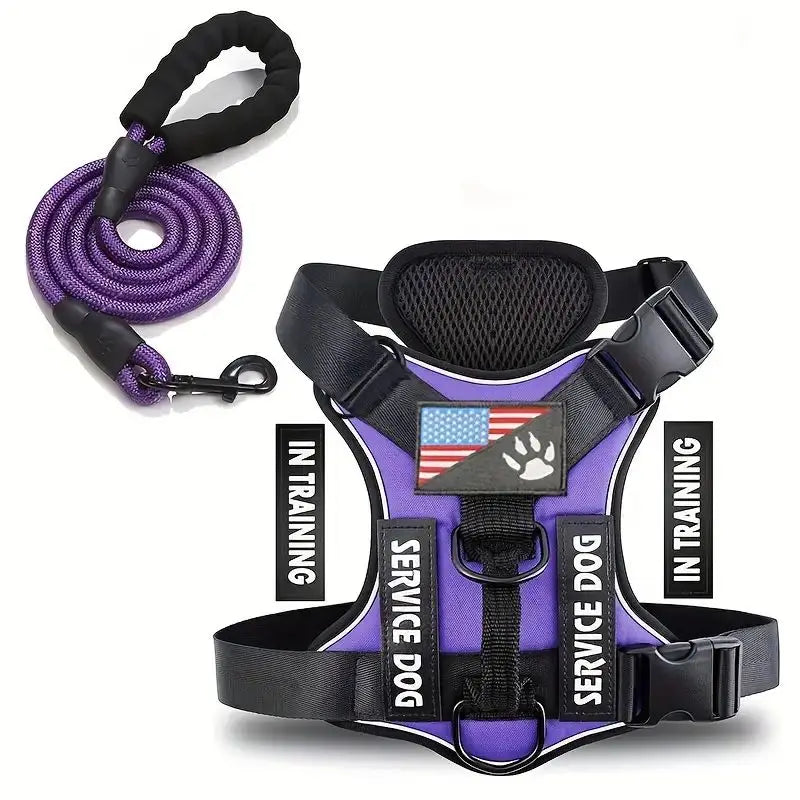 Dachshund Escape-Proof Harness Set™ | Secure No-Pull Control & Reflective Safety