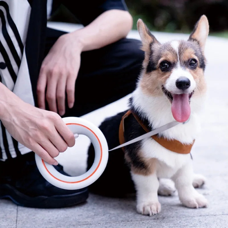 Dachshund UFO Retractable Leash™ | 3M Freedom & One-Touch Control