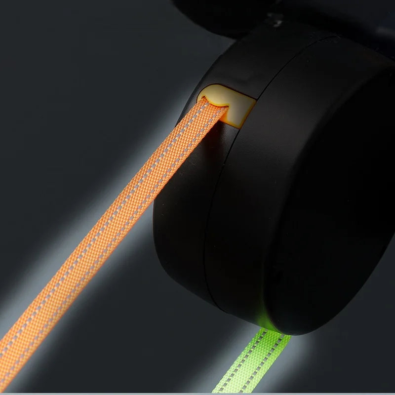Dachshund Dual LED Leash™ | Tangle-Free Control for Two Dachshunds
