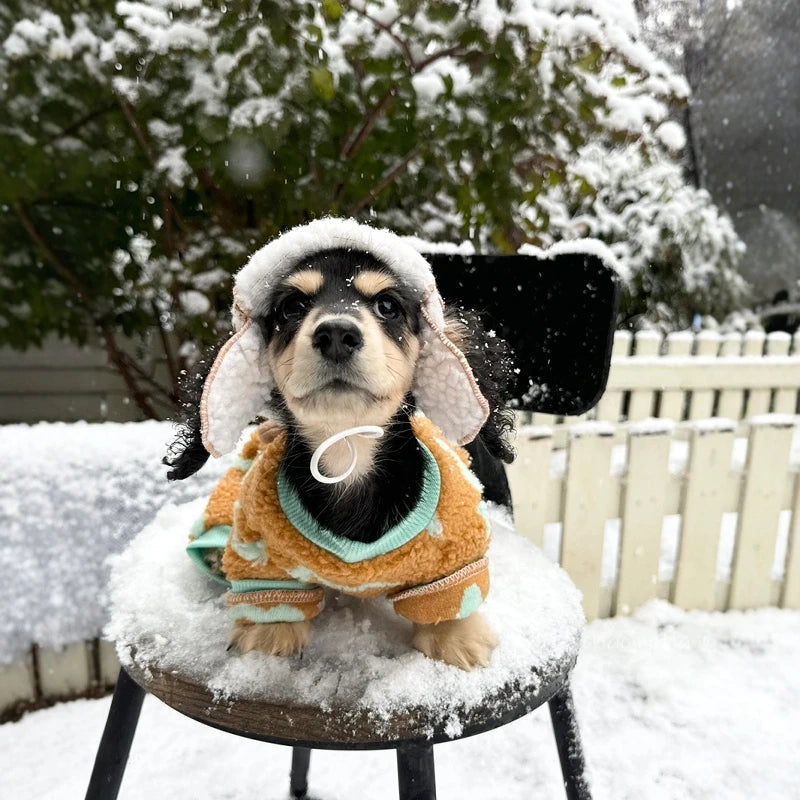 Dachshund ArcticShield™ Coat – Luxury Fleece Winter Jacket with Hood