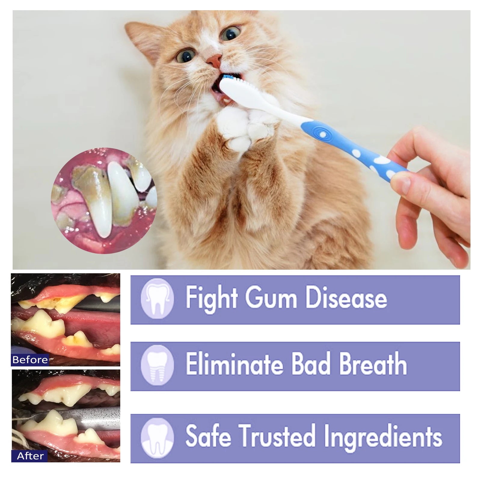 Dachshund Smile™ Dental Toothpaste – Fresh Breath & Plaque Protection for Sausage Dogs