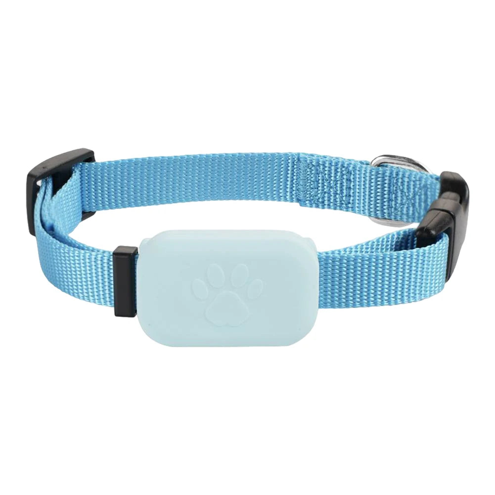 Dachshund Guardian GPS Tracker – Never Lose Sight of Your Best Friend