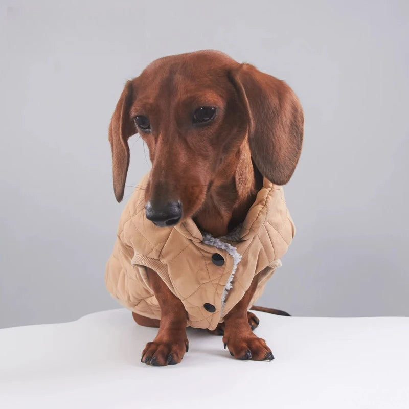 Dachshund NordicShield™ Jumpsuit – Premium Fleece Winter Coat for Sausage Dogs