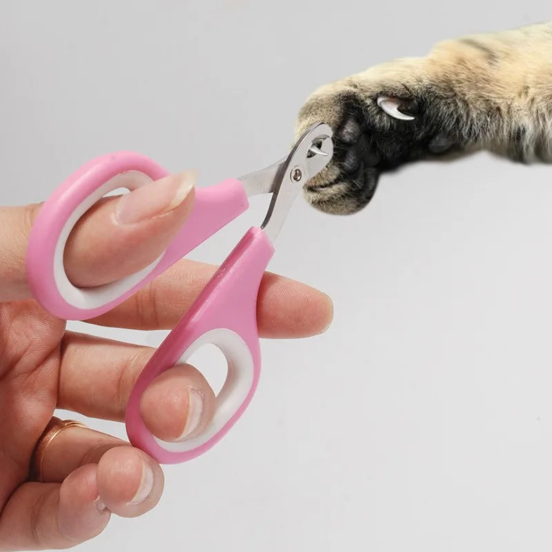 Dachshund Nail Clipper – Safe Precision Grooming Tool for Small Dogs | Easy At-Home Claw Care Trimmer for Stress-Free Nail Cutting