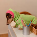 Dachshund Essential™ Waffle Shirt – Ultra-Soft Everyday Comfort for Sausage Dogs